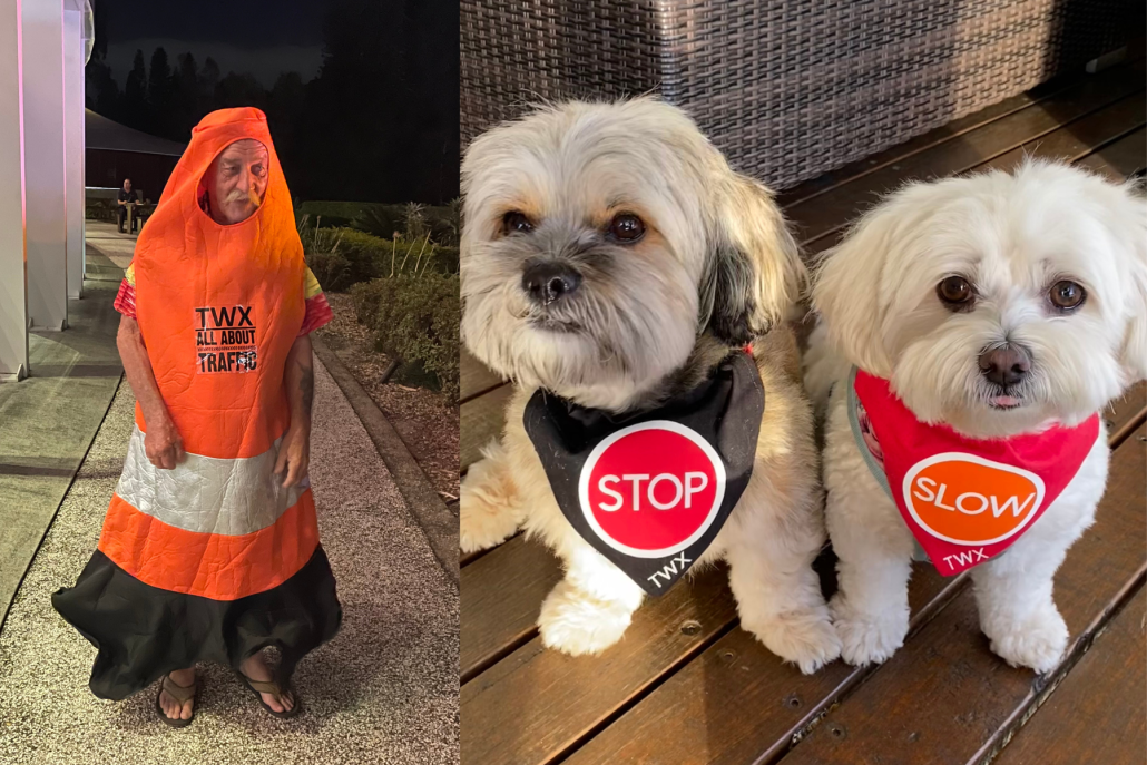 Fancy Dress Traffic Cone outfit and our two office dogs in stop and slow bandanas for our Networking night.